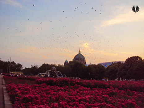 Final de dia num dia de Primavera nos arredores da Catedral de Berlim. Thumb