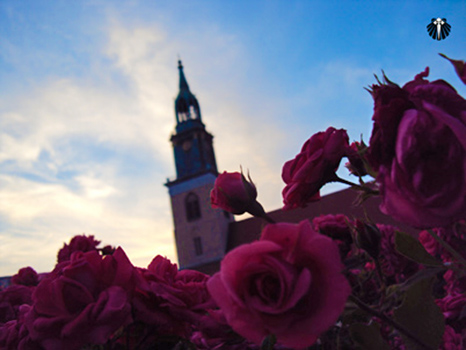 Igreja de Santa Maria de Berlim. Thumb