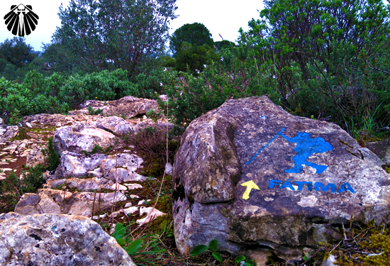 E a subida continua morro acima! Thumb