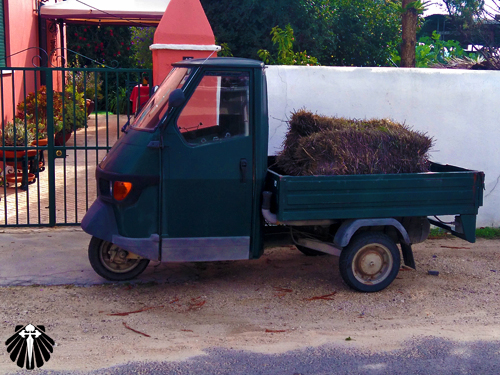 Olha a carrinha! Muito interessante encontrar essas raridades pelo Caminho! Thumb