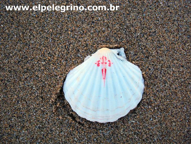 Vieira e o fim do Caminho!