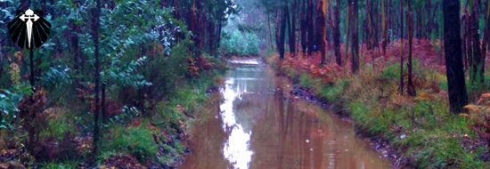 Welcome to the jungle! Welcome to the jungle!