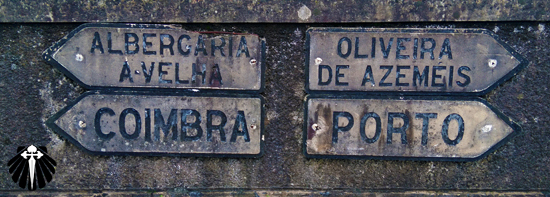 Follow the Arrows! Follow the Arrows!