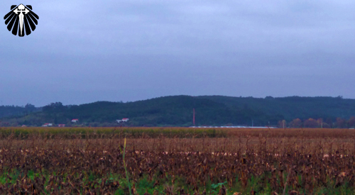 Vista da etapa entre Coimbra e Mealhada. Vista da etapa entre Coimbra e Mealhada.