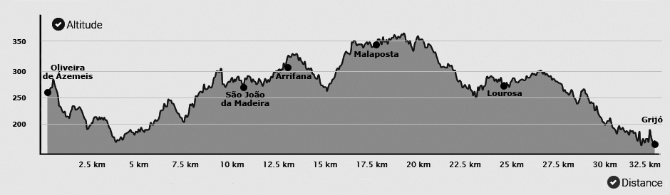 Topografia da 16ª etapa do Caminho Português