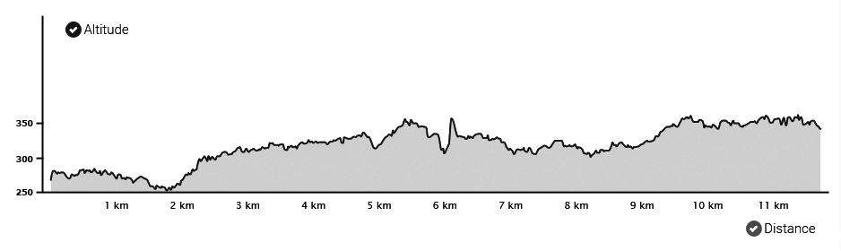 Topografia da 8ª etapa do Caminho Português