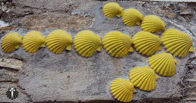 Rota do Caminho Francês