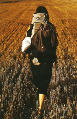 Cartão postal disponível nas agências dos Correios da Espanha no Ano Jacobeu de 2010. Cartão postal disponível nas agências dos Correios da Espanha no Ano Jacobeu de 2010.