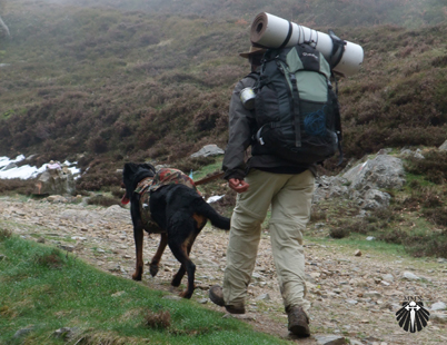 Rota do Caminho Francês