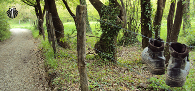 Rota do Caminho Francês