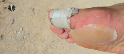 Rota do Caminho Francês