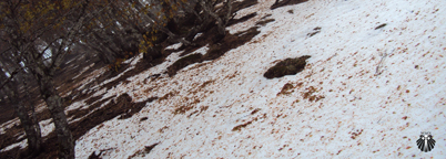 Neve na travessia dos Pirineus Neve nos Pirineus