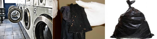 Etapas de lavagem para se livrar de Chinches Etapas de lavagem para se livrar de Chinches