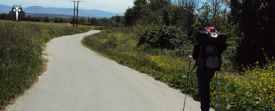 Rota do Caminho Francês